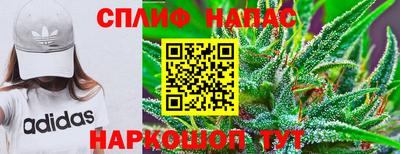 спиды Абинск