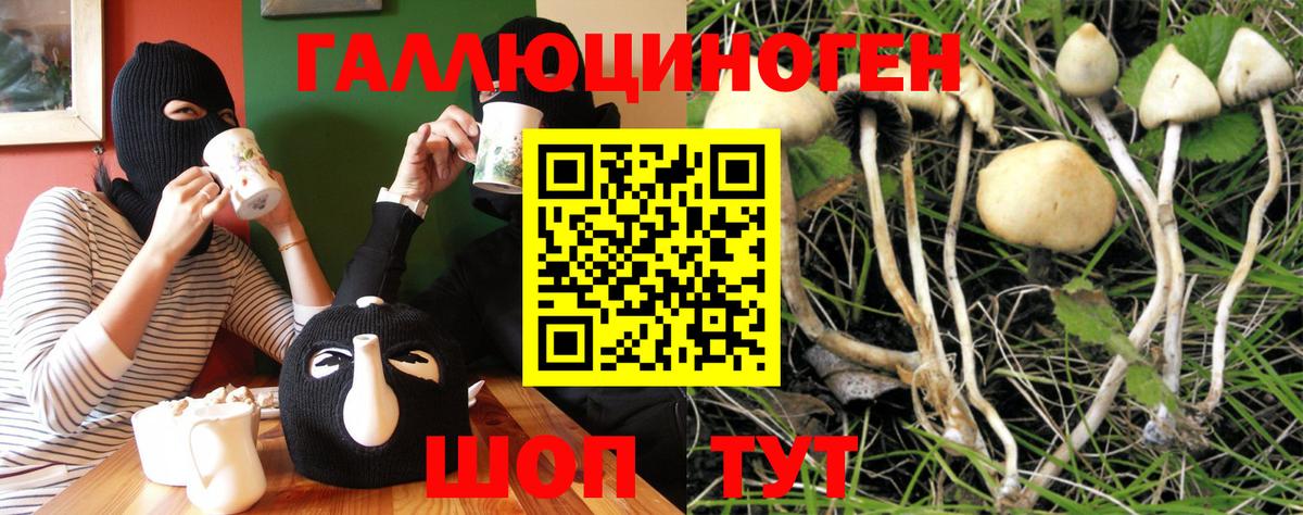 Галлюциногенные грибы прущие грибы  Вход с VPN  Россия 